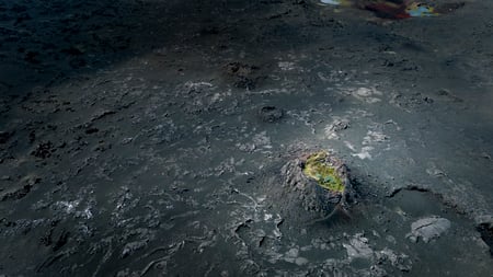 A volcanic crater, filled with green vegetation