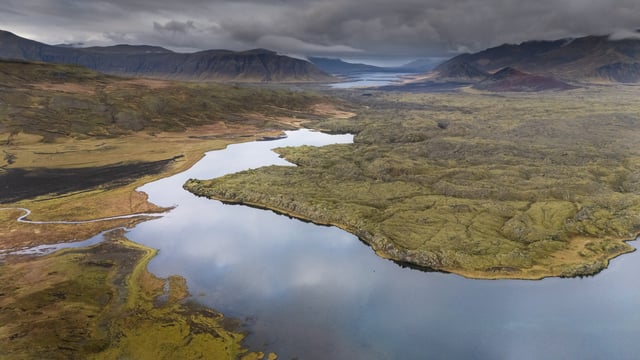 Swans flying over a lake in front of the red and green Berserkjahraun lava field
